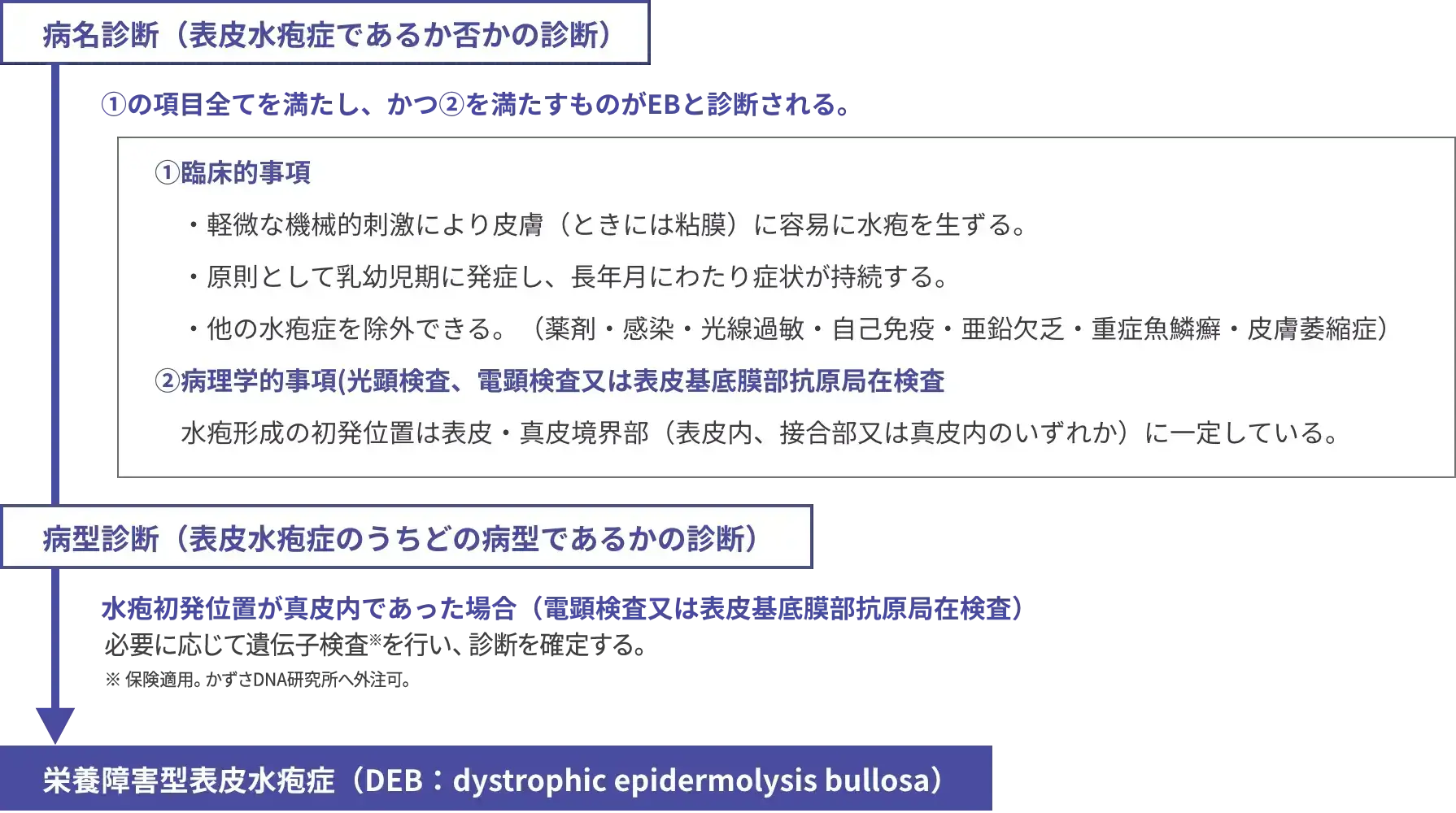 病名診断（表皮水疱症であるか否かの診断）-病型診断（表皮水疱症のうちどの病型であるかの診断）-栄養障害型表皮水疱症（DEB：dystrophic epidermolysis bullosa）