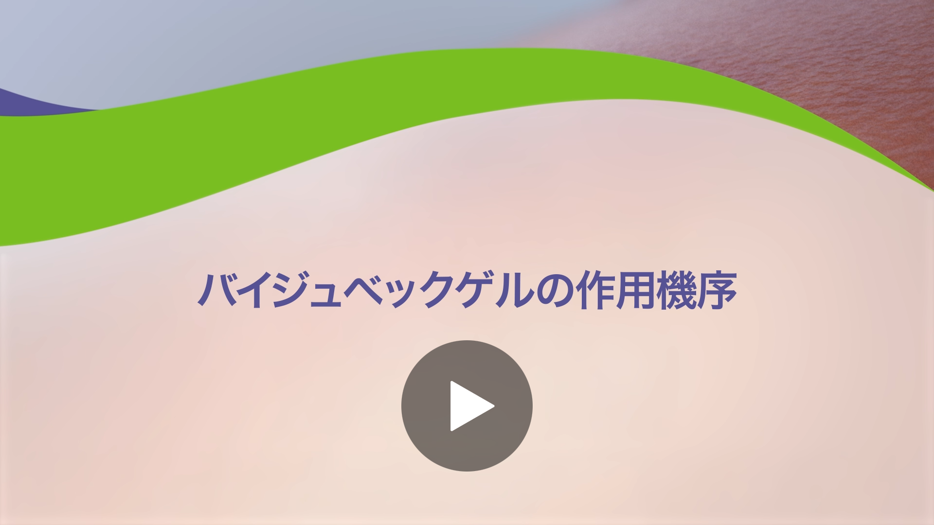 バイジュベックゲルの作用機序