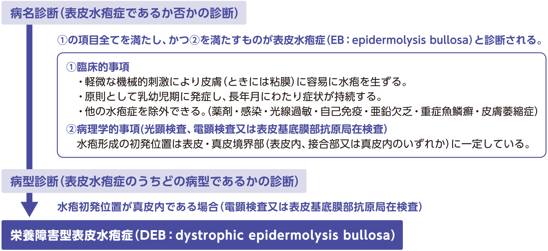 病名診断（表皮水疱症であるか否かの診断）-病型診断（表皮水疱症のうちどの病型であるかの診断）-栄養障害型表皮水疱症（DEB：dystrophic epidermolysis bullosa）
