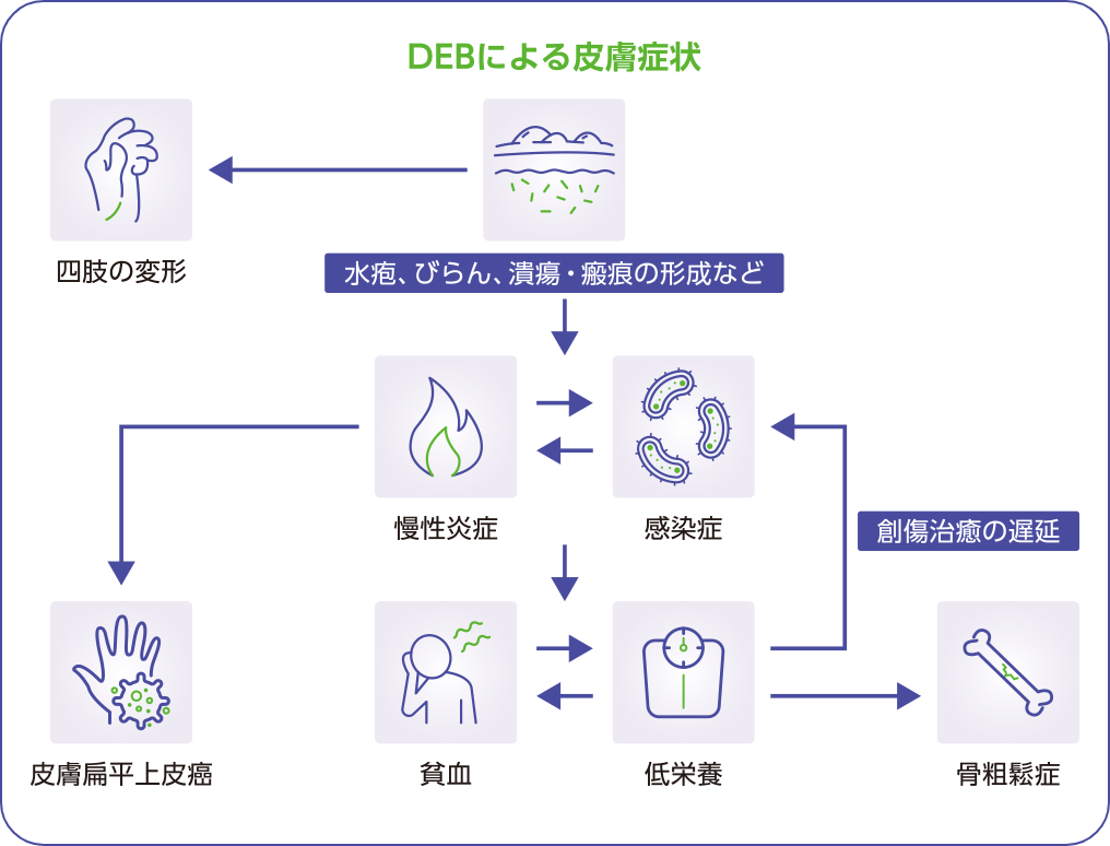 DEBによる皮膚症状の内容