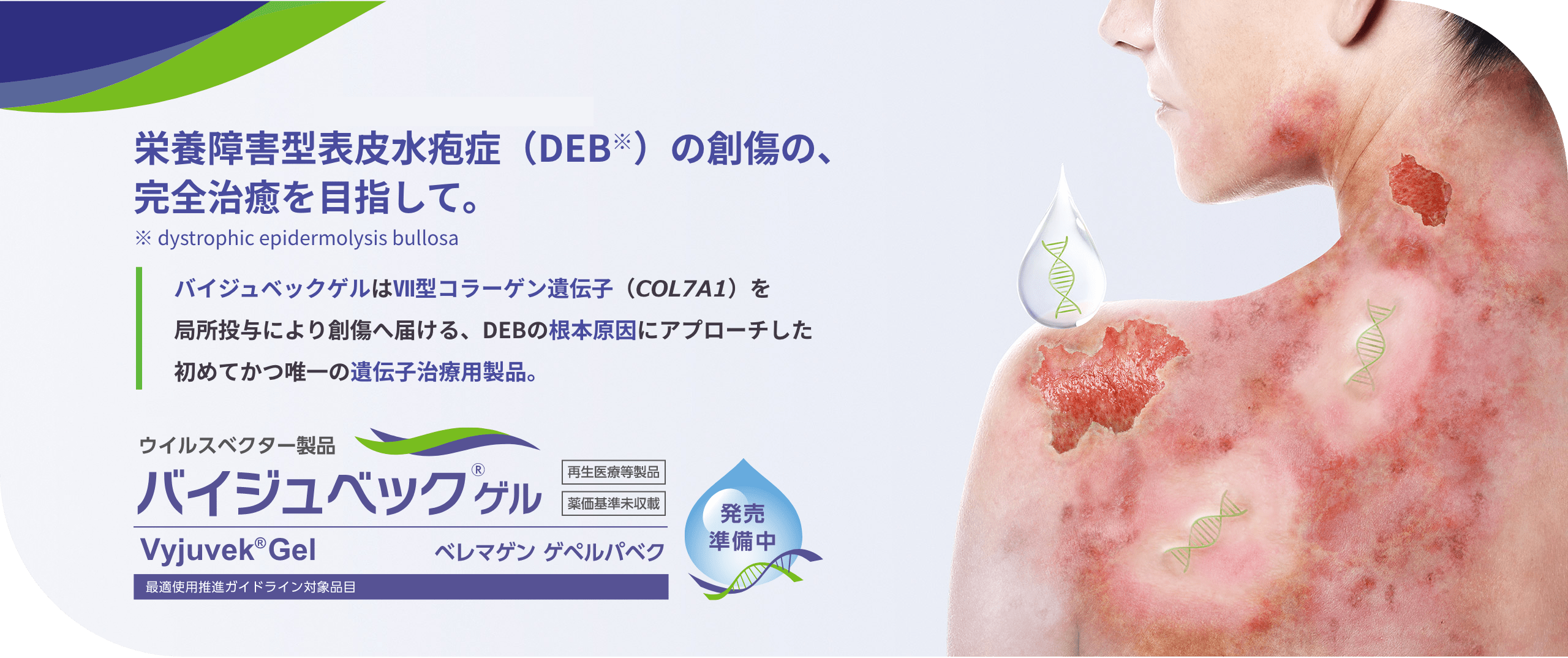 栄養障害型表皮水疱症（DEB）の創傷の、完全治癒を目指して。ウイルスベクター製品、バイジュベックゲル